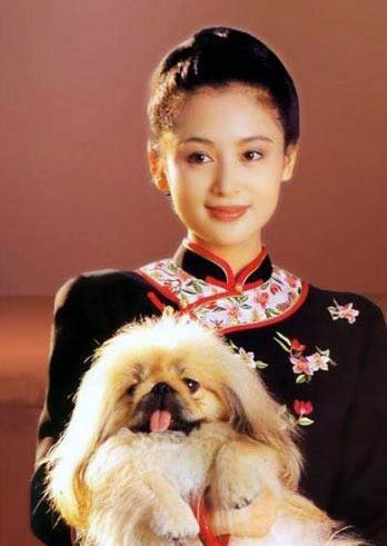 29-ChenHong