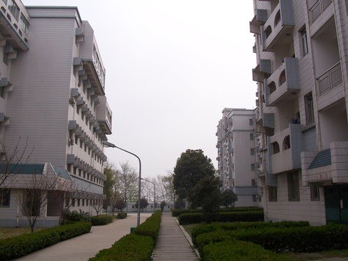 6034504