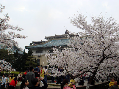 DSC01243