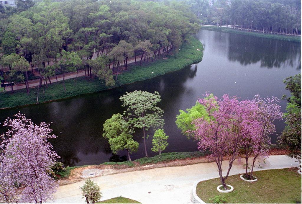 NorthLakeScenery