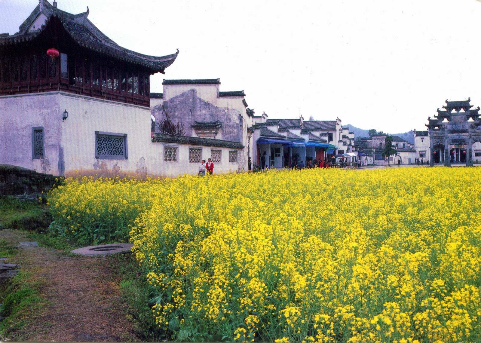 Xidi