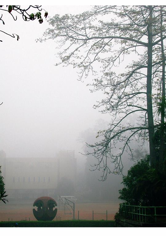 misty